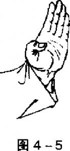 圖片154