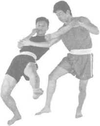 圖片6