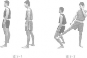圖片11