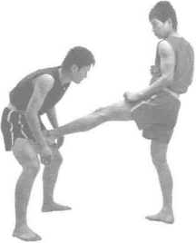 圖片28