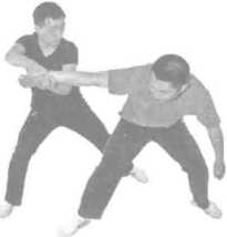 圖片30