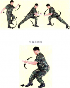 圖片101