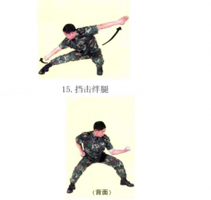 圖片107