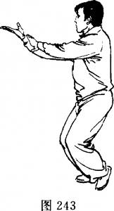 圖片165
