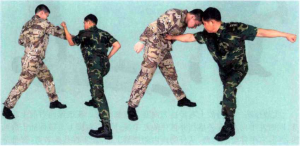圖片8
