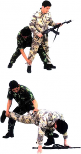 圖片28