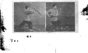 圖片5