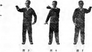 圖片2