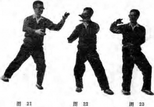 圖片10