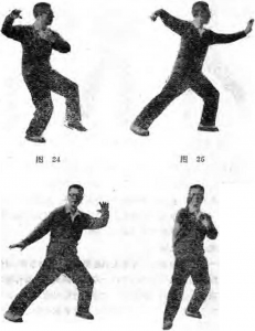 圖片11