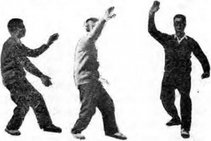 圖片14