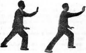 圖片19