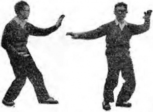 圖片31