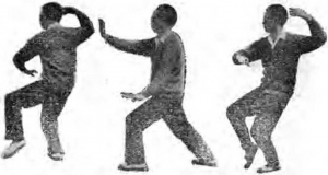 圖片14