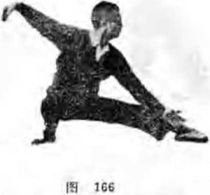 圖片37