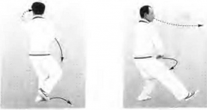 圖片11