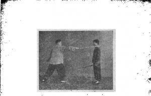 圖片37