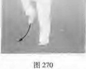 圖片30
