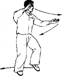 圖片19