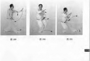 圖片101