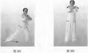 圖片109