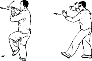 圖片13