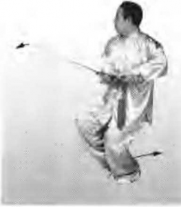 圖片166
