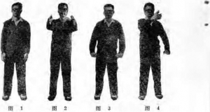 圖片3