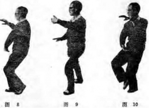 圖片5