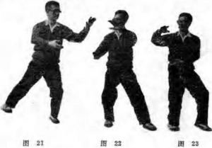 圖片12