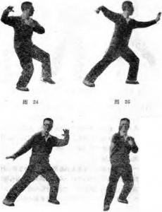 圖片13