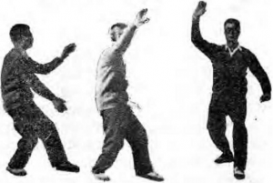 圖片16