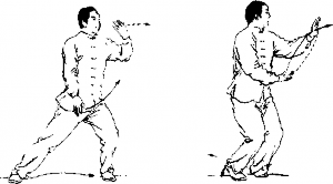 圖片6