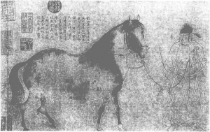圖片7