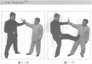 圖片7