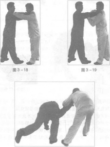 圖片30