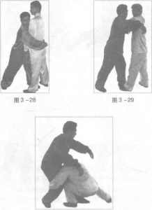 圖片31