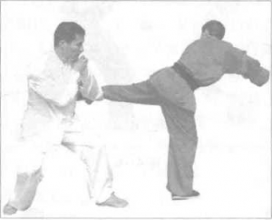 圖片38