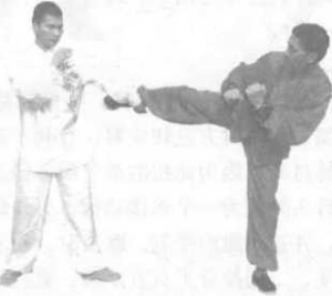 圖片40