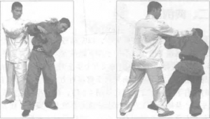 圖片35