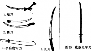 圖片7