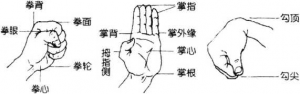 圖片特技